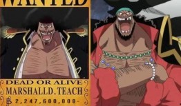 黑胡子全新爆料视频大全,揭秘神秘势力与海贼王世界的惊天秘密